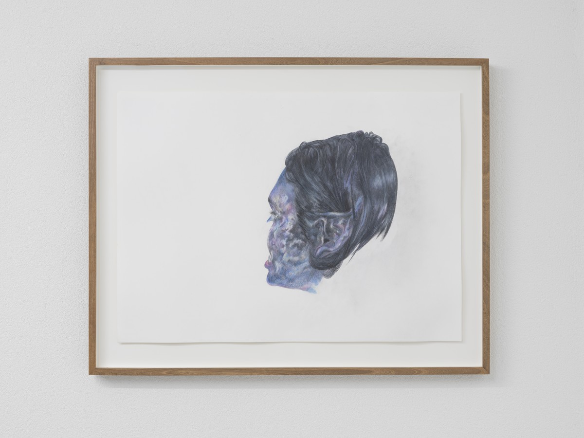 Alessandro Di Pietro, Vampirello Alvino, 2020, colored pencil, walnut wood, 63 x 81 x 4 cm