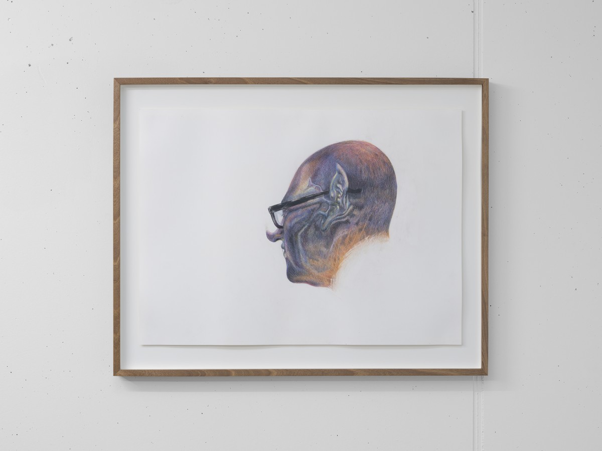 Alessandro Di Pietro, Vampirello Matteo, 2019, colored pencil, walnut wood, 63 x 81 x 4 cm