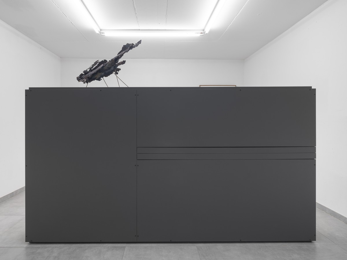 Alessandro Di Pietro,FLX Recorder (plinth), 2021, Laminate wood, stainless steel, plexiglass, 134 x 250 x 30 cm