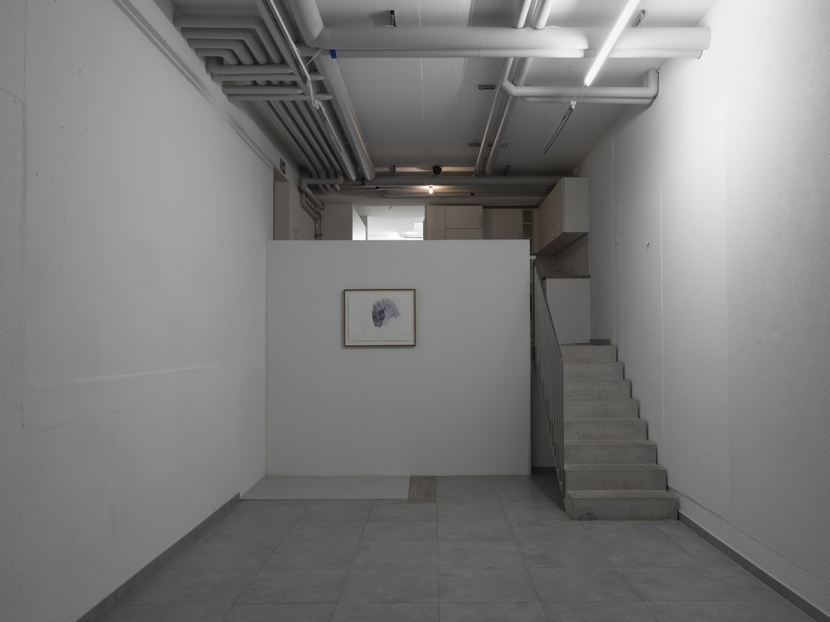 Alessandro Di Pietro, Occult Desserts, exhibition view,  All Stars, Lausanne.
