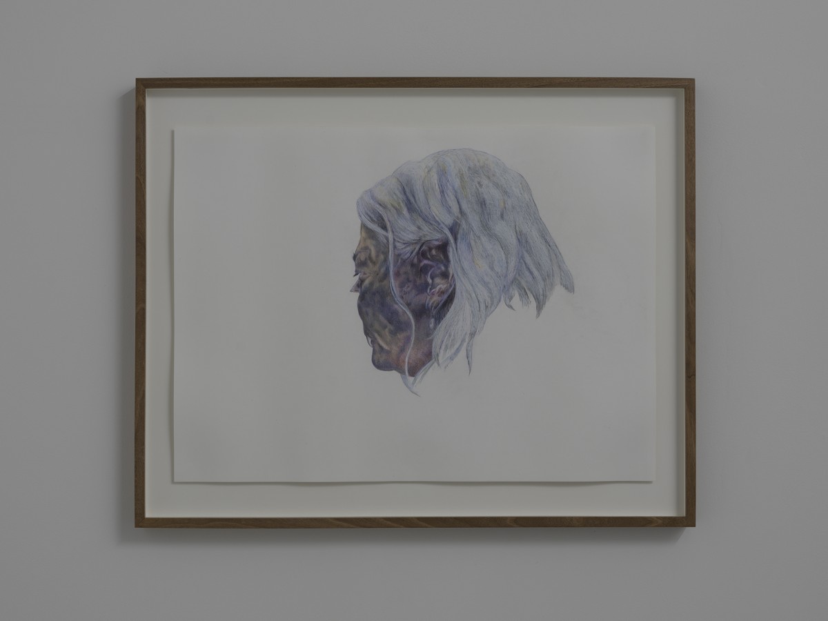Alessandro Di Pietro, Vampirello Rochelle , 2020, colored pencil, walnut wood, 63 x 81 x 4 cm
