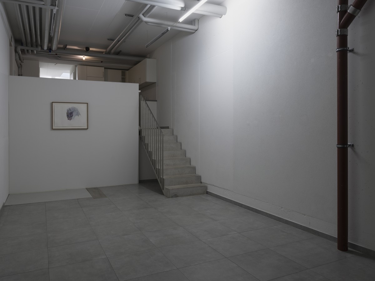 Alessandro Di Pietro, Occult Desserts, exhibition view,  All Stars, Lausanne.