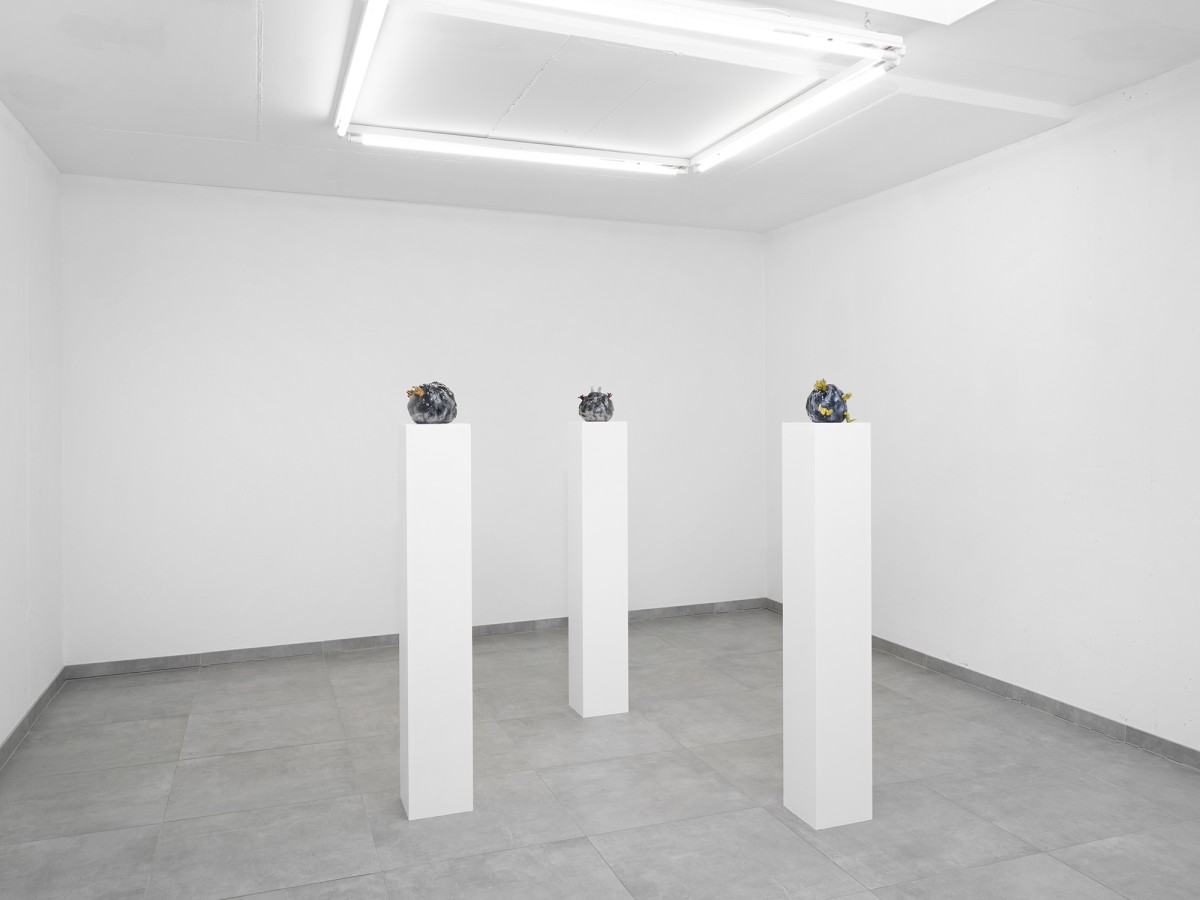 Cassidy Toner, Continuity Creep, exhibition view, All Stars, Lausanne.