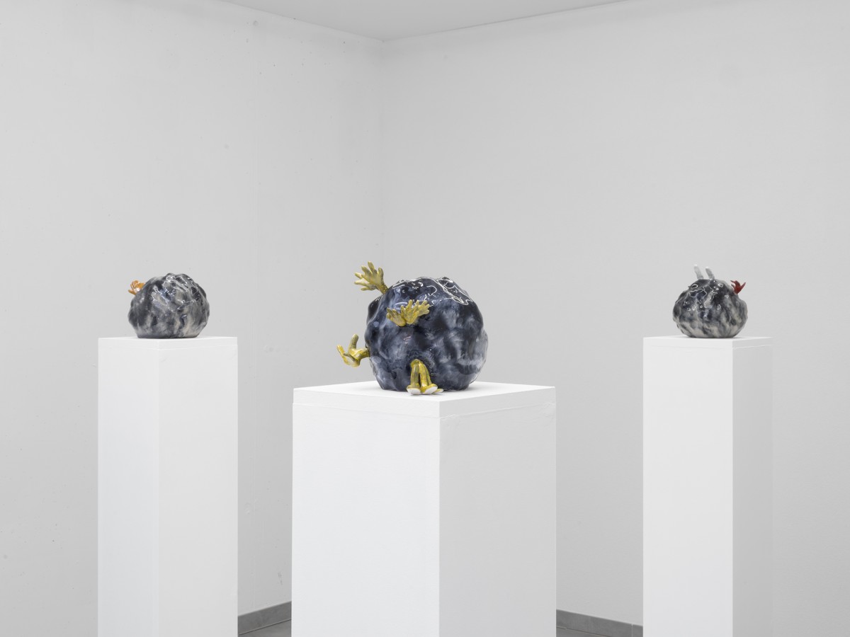 Cassidy Toner, Continuity Creep, exhibition view, All Stars, Lausanne.
