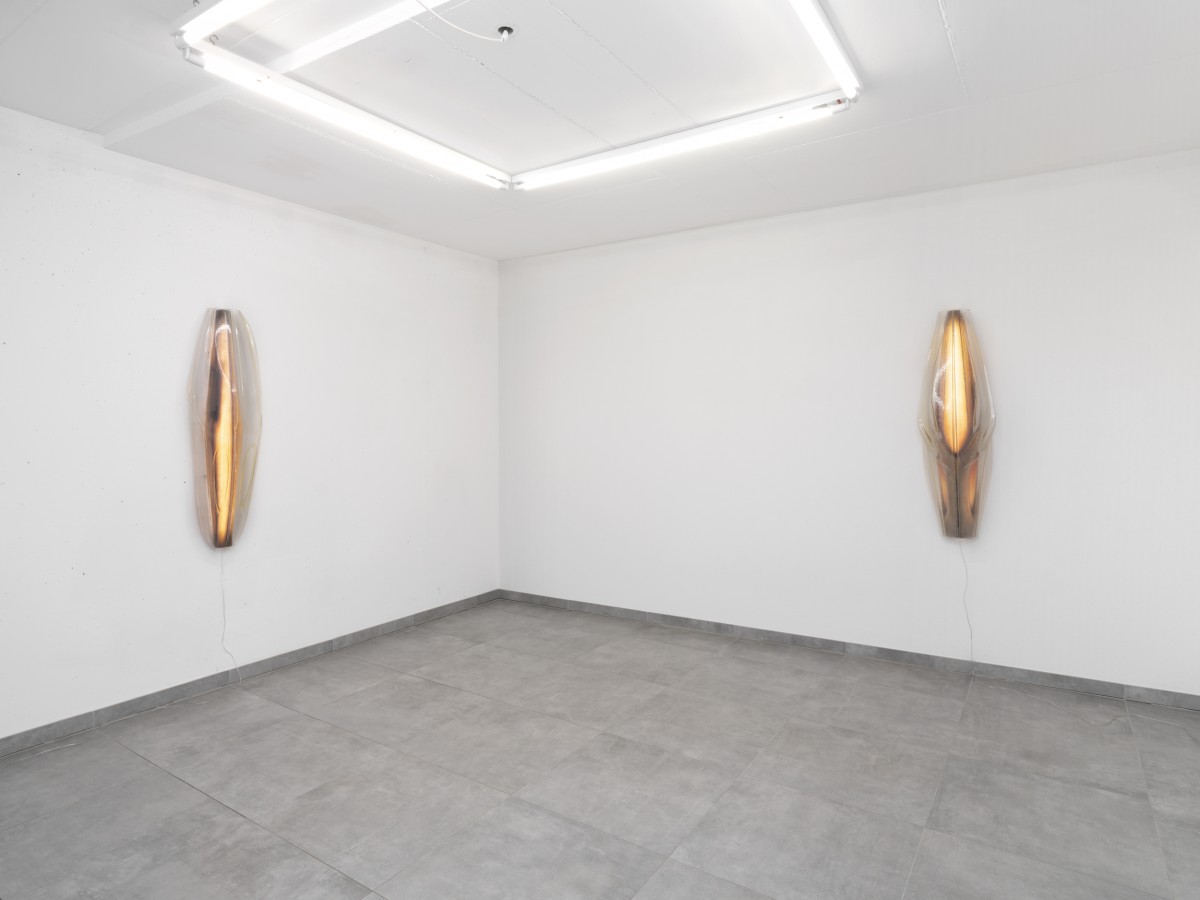 We're still here., Kim Farkas, exhibition view, All Stars, Lausanne.