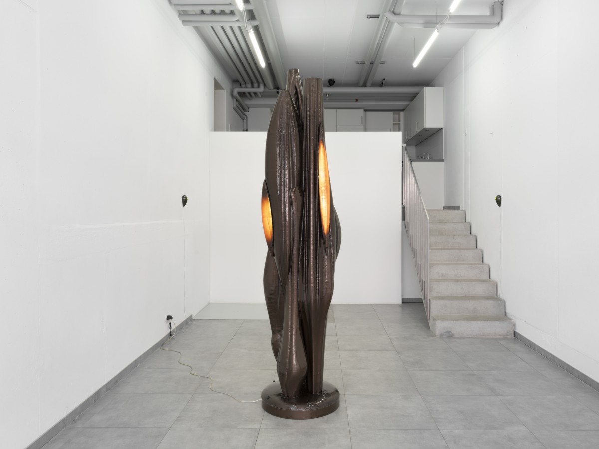 We're still here., Kim Farkas, exhibition view, All Stars, Lausanne.