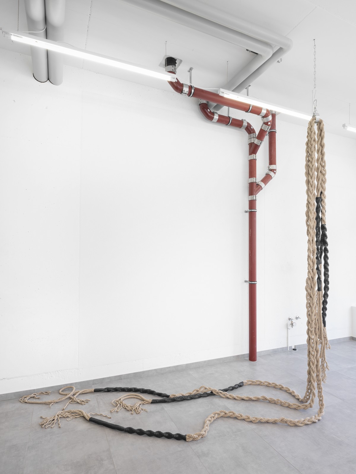 Longue installation de plusieurs cordes suspendues au plafond